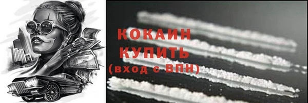 прущие грибы Армянск
