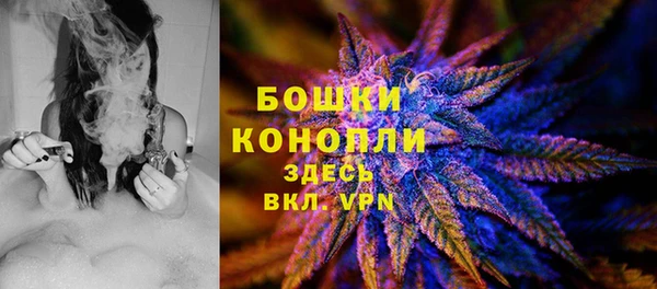 тгк Арсеньев
