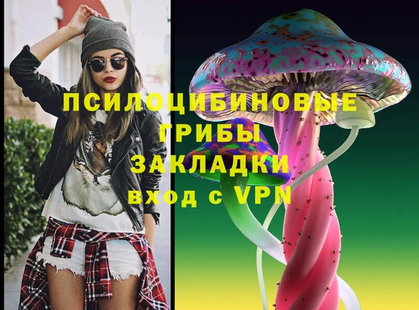 прущие грибы Армянск